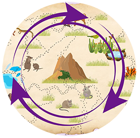 Map Icon